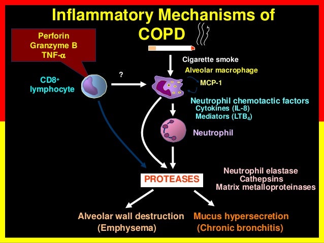 Chronic Obstructive Pulmonary Disease Chronic Obstructive Pulmonary Disease
