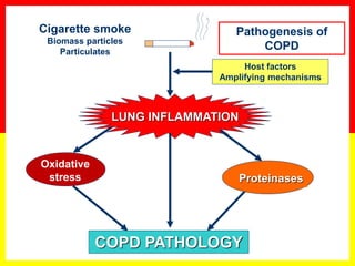 LUNG INFLAMMATION
COPD PATHOLOGY
Oxidative
stress Proteinases
Host factors
Amplifying mechanisms
Cigarette smoke
Biomass particles
Particulates
Pathogenesis of
COPD
 