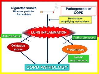 LUNG INFLAMMATION
COPD PATHOLOGY
Oxidative
stress Proteinases
Repair
mechanisms
Anti-proteinases
Anti-oxidants
Host factors
Amplifying mechanisms
Cigarette smoke
Biomass particles
Particulates
Pathogenesis of
COPD
 