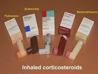 Beclomethasone
Budesonide
Fluticasone
Inhaled corticosteroids
 