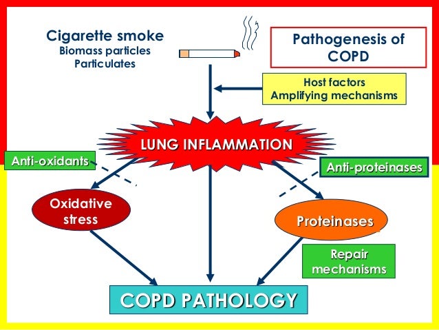 formation v chart Manifestations COPD of Systemic