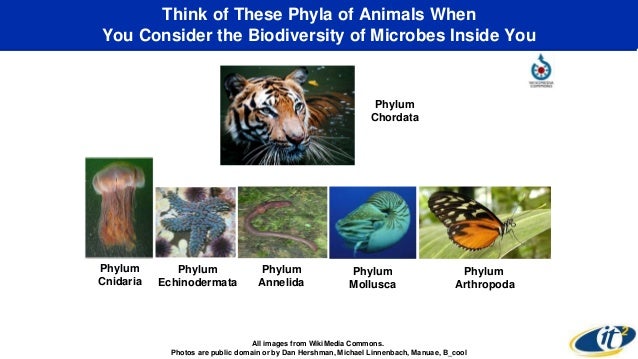 Quantified ventures b corp image