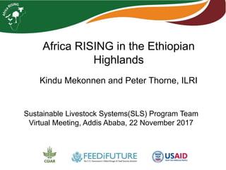 Africa RISING in the Ethiopian
Highlands
Kindu Mekonnen and Peter Thorne, ILRI
Sustainable Livestock Systems(SLS) Program Team
Virtual Meeting, Addis Ababa, 22 November 2017
 