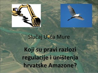 Slučaj Ušća Mure Koji su pravi razlozi regulacije i uništenja hrvatske Amazone? 