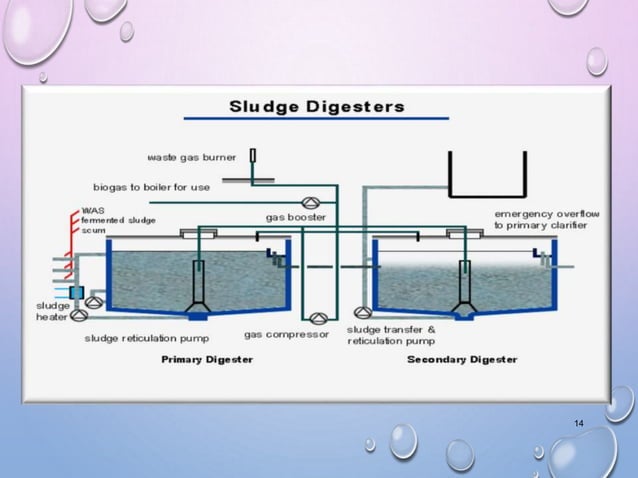 Sludge digestor | PPTX | Chemistry | Science