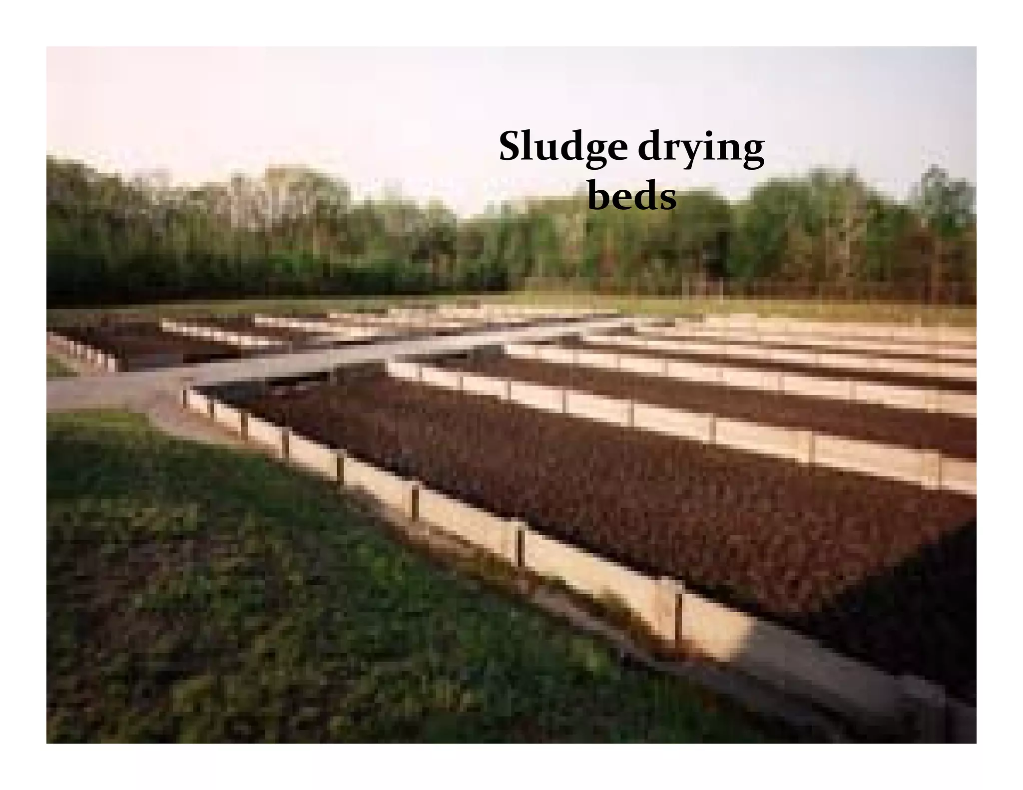 Sludge drying Sludge drying 
beds
 