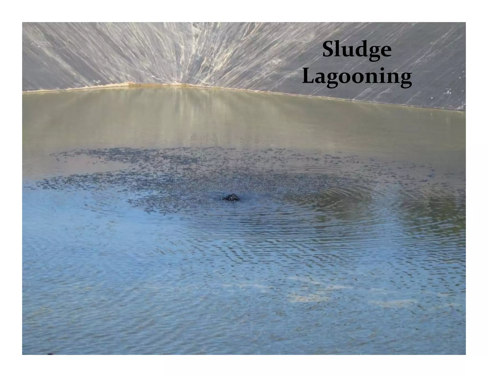 Sludge 
L iLagooning
 