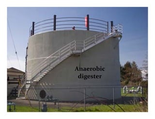 Sludge management and Sludge digesters | PDF