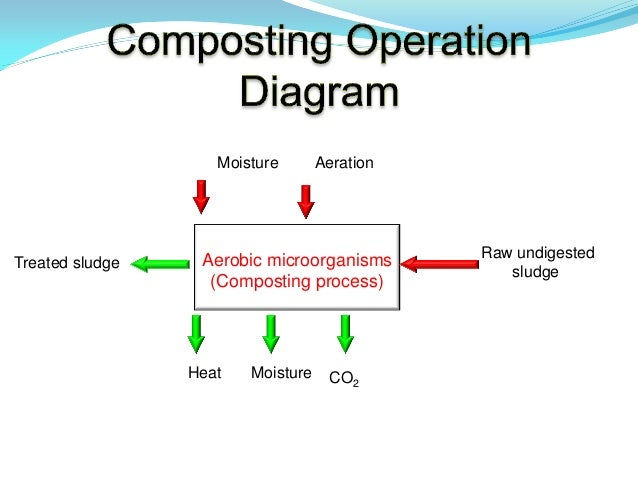 Sludge treatment through composting prior to reuse – the alexandria e…