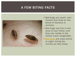 A FEW BITING FACTS

             Bed bugs are small, oval
              insects that feed on the
              blood of humans or
              animals.
             Bed bugs can live in any
              area of your home, and
              they can reside in the
              tiniest crack imaginable.
             Bed bugs are most active
              at night, biting the
              victims as they sleep.
 