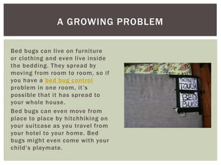 A GROWING PROBLEM

Bed bugs can live on furniture
or clothing and even live inside
the bedding. They spread by
moving from room to room, so if
you have a bed bug control
problem in one room, it’s
possible that it has spread to
your whole house.
Bed bugs can even move from
place to place by hitchhiking on
your suitcase as you travel from
your hotel to your home. Bed
bugs might even come with your
child’s playmate.
 