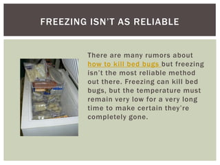 FREEZING ISN’T AS RELIABLE


        There are many rumors about
        how to kill bed bugs but freezing
        isn’t the most reliable method
        out there. Freezing can kill bed
        bugs, but the temperature must
        remain very low for a very long
        time to make certain they’re
        completely gone.
 