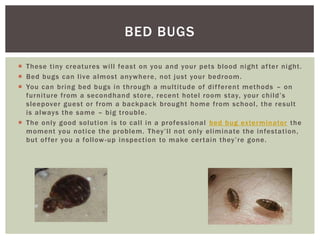 BED BUGS
These tiny creatures will feast on you and your pets blood night af ter night.
Bed bugs can live almost anywhere, not just your bedroom.
You can bring bed bugs in through a multitude of dif ferent methods – on
furniture from a secondhand store, recent hotel room stay, your child’s
sleepover guest or from a backpack brought home from school , the result
is always the same – big trouble.
The only good solution is to call in a professi onal bed bug exterminator the
moment you notice the problem. They’ll not only eliminate the infestation,
but of fer you a follow -up inspection to make cer tain they’re gone.
