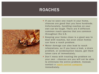 ROACHES
If you’ve seen one roach in your home,
chances are good that you have hundreds.
Unfor tunately, handling roaches on your
own can be tough. There are 4 dif ferent
common roach species that are common
throughout the U.S.
Keeping your home clean is a good way to
deal with roaches, but even clean homes
can have a roach problem.
Water damage can also lead to roach
infestations, so if you have a leak , a drain
problem, or condensati on issues, get them
taken care of immediately.
Don’t mess with treating the problem on
your own - chances are you will not be able
to eliminate the entire problem. Instead,
contact a roach control company
immediately.