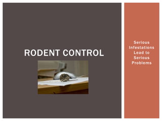 Serious Infestations Lead to Serious Problems<br />Rodent Control<br />
