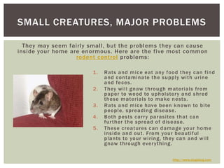 They may seem fairly small, but the problems they can cause inside your home are enormous. Here are the five most common r...