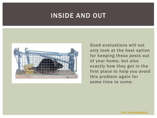 Good evaluations will not only look at the best option for keeping these pests out of your home, but also exactly how they got in the first place to help you avoid this problem again for some time to come.Inside and Outhttp://www.slugabug.com