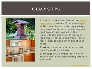 1. Get rid of the food before the rodent exterminatorcomes. From cleaning up spills immediately to storing garbage in covered containers to ensuring pet food doesn’t stay out all of the time, this is a key step. If you keep food away from rats and mice, you’re more likely to keep them out of your home. 2. When you’re outside, don’t scatter food for wildlife or birds.3. Manage your compost pile well to ensure you’re not just inviting rats into your yard.6 Easy Stepshttp://www.slugabug.com