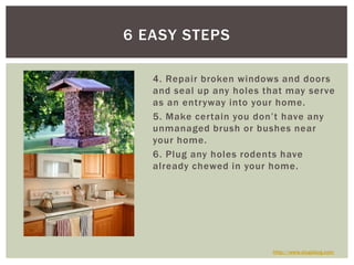 4. Repair broken windows and doors and seal up any holes that may serve as an entryway into your home.5. Make certain you don’t have any unmanaged brush or bushes near your home.6. Plug any holes rodents have already chewed in your home. 6 Easy Stepshttp://www.slugabug.com