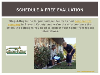 Slug-A-Bug is the largest independently owned pest control company in Brevard County, and we’re the only company that offers the solutions you need to protect your home from rodent infestations.Schedule a free evaluationhttp://www.slugabug.com