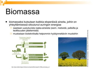 Biomassa ,[object Object],[object Object],[object Object],http://www.kennislink.nl/upload/180329_962_1192802372012-1686_biodiesel.jpg http://www.bioteknologia.info/etusivu/ymparisto/Biomassa/fi_FI/Mita_biomassa_on/ 