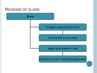 REASONS OF SLUMS:
Slums
Change in agricultural scenario
No prospects in rural areas
Bigger opportunities in cities
Preference on labor market than agriculture
 
