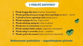 9 PRINCIPŮ BIOMIMIKRY
1.	 Příroda funguje díky slunci (rostliny, fotosyntéza)
2.	 Příroda spotřebovává pouze energii, kterou potřebuje (predátoři – kořist)
3.	 V přírodě se forma uzpůsobuje účelu (plody javoru)
4.	 Příroda recykluje vše (listy, hnijící ovoce)
5.	 Příroda odměňuje spolupráci (včely a květina)
6.	 Příroda staví na rozmanitosti (rozmanitý les)
7.	 Příroda vyžaduje lokální znalosti (organismy v biotopech)
8.	 Příroda usiluje o rovnováhu (kořist – predátor)
9.	 Příroda využívá sílu omezení (růst stromů není nekonečný)
Budoucnost podnikání – napodobujeme přírodu
 