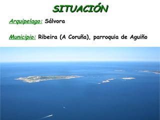 SITUACIÓNSITUACIÓN
Arquipelago: Sálvora
Municipio: Ribeira (A Coruña), parroquia de Aguiño
 