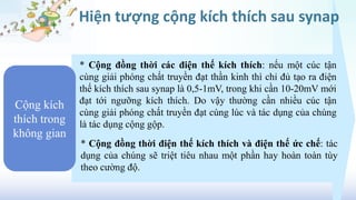 Cộng kích
thích trong
không gian
* Cộng đồng thời các điện thế kích thích: nếu một cúc tận
cùng giải phóng chất truyền đạt thần kinh thì chỉ đủ tạo ra điện
thế kích thích sau synap là 0,5-1mV, trong khi cần 10-20mV mới
đạt tới ngưỡng kích thích. Do vậy thường cần nhiều cúc tận
cùng giải phóng chất truyền đạt cùng lúc và tác dụng của chúng
là tác dụng cộng gộp.
* Cộng đồng thời điện thế kích thích và điện thế ức chế: tác
dụng của chúng sẽ triệt tiêu nhau một phần hay hoàn toàn tùy
theo cường độ.
Hiện tượng cộng kích thích sau synap
 