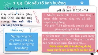 2.3.5. Các yếu tố ảnh hưởng
Thiếu oxy
Ngừng cung cấp
oxy trong vài giây
thì nơron sẽ ngừng
hoạt động
pH tối thuận là 7,35 – 7,4
+ Nhiễm kiềm (pH >7.4): làm tăng
hưng phấn nơron, tăng tốc độ dẫn
truyền xung động
+ Nhiễm toan (pH<7,2): làm giảm hưng
phấn nơron, giảm hoạt động nơ ron dẫn
đến bệnh nhân quên, lẫn, hôn mê,…
Với pH= 7,8-8 gây ra các cơn co giật do
giảm ngưỡng kích thích
Bênh nhân đái tháo đường do bị
toan huyết nên sẽ bị chết do hôn mê
Ứng dụng ghi EEG
Gây nhiễm kiềm (tăng
thải CO2) khi thở tăng
cường, làm xuất hiện
các sóng bệnh lý.
 