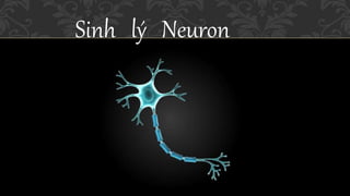 Sinh lý Neuron
 