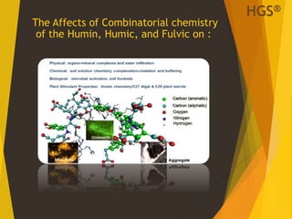 The Affects of Combinatorial chemistry
of the Humin, Humic, and Fulvic on :
HGS®
 