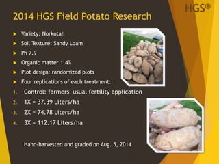 2014 HGS Field Potato Research
 Variety: Norkotah
 Soil Texture: Sandy Loam
 Ph 7.9
 Organic matter 1.4%
 Plot design: randomized plots
 Four replications of each treatment:
1. Control: farmers usual fertility application
2. 1X = 37.39 Liters/ha
3. 2X = 74.78 Liters/ha
4. 3X = 112.17 Liters/ha
Hand-harvested and graded on Aug. 5, 2014
19
HGS®
 