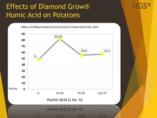 Effects of Diamond Grow®
Humic Acid on Potatoes
20
HGS®
 