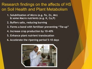 Research findings on the affects of HS
on Soil Health and Plant Metabolism
1. Solubilization of Micro (e.g. Fe, Zn, Mn)
& some Macro nutrients (e.g. K, Ca,P)
2. Buffers salts, reducing burning
3. Forms a bond with fertilizer preventing “Tie-up”
4. Increase crop production by 10-40%
5. Enhance plant nutrient translocation
6. Accelerate the ripening period 5-10 days
30
 