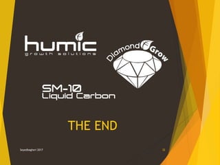 Seyedbagheri 2017 32
THE END
 