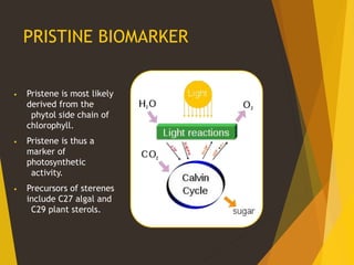PRISTINE BIOMARKER
• Pristene is most likely
derived from the
phytol side chain of
chlorophyll.
• Pristene is thus a
marker of
photosynthetic
activity.
• Precursors of sterenes
include C27 algal and
C29 plant sterols.
 