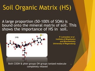 Soil Organic Matrix (HS)
A large proportion (50-100% of SOM) is
bound onto the mineral matrix of soil. This
shows the importance of HS in soil.
9
P. Leinweber et al .
Institute of Biophysics
and Biochemistry
University of Regensburg
Both COOH & phen groups OH groups ionized molecule
completely relaxed
 