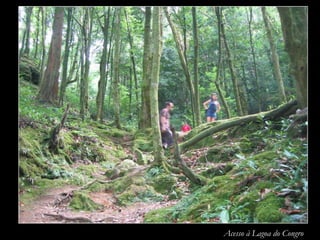 Acesso à Lagoa do Congro