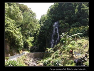 Parque Natural da Ribeira dos Caldeirões