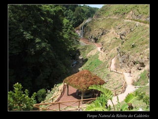 Parque Natural da Ribeira dos Caldeirões