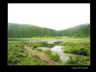 Lagoa do Canário