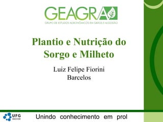 Unindo conhecimento em prol
Plantio e Nutrição do
Sorgo e Milheto
Luiz Felipe Fiorini
Barcelos
 
