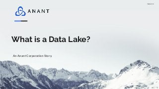 Version 1.0
What is a Data Lake?
An Anant Corporation Story.
 