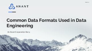 Version 1.0
Common Data Formats Used in Data
Engineering
An Anant Corporation Story.
 