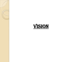 Vision