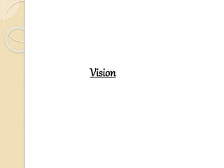 Vision
 