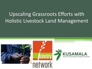 Upscaling Grassroots Efforts with
Holistic Livestock Land Management
 