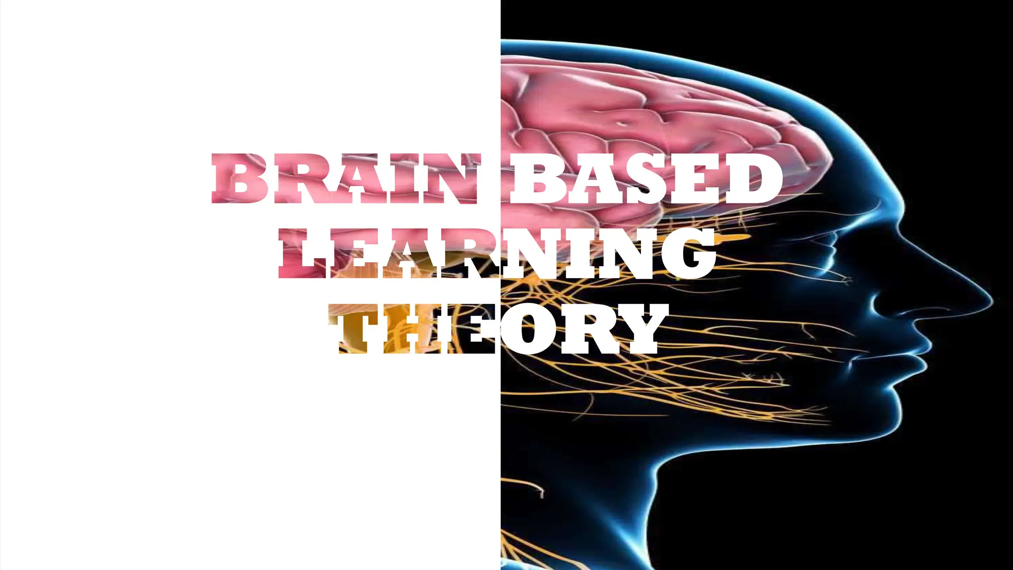 Brain-based Learning Theory (science).pptx