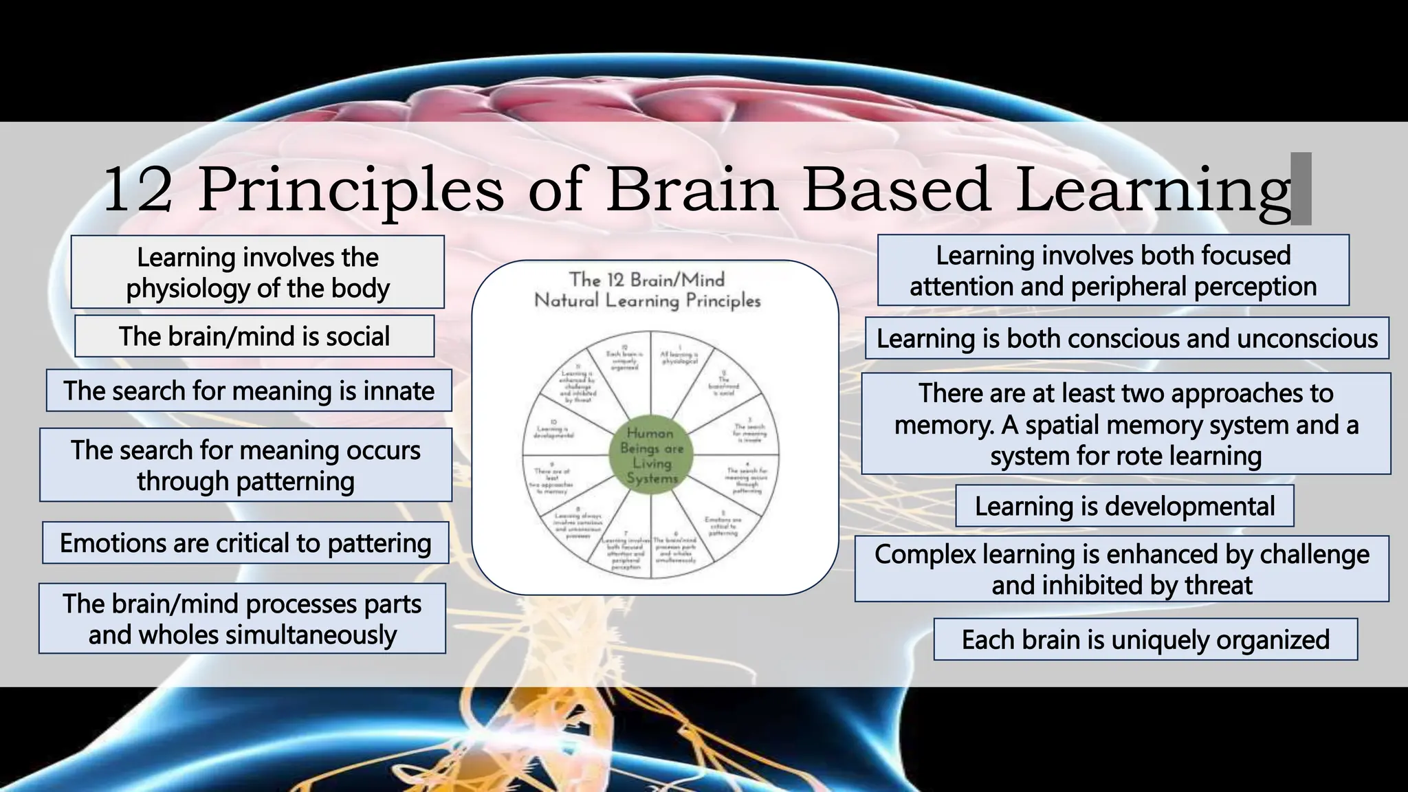 Brain-based Learning Theory (science).pptx | Education